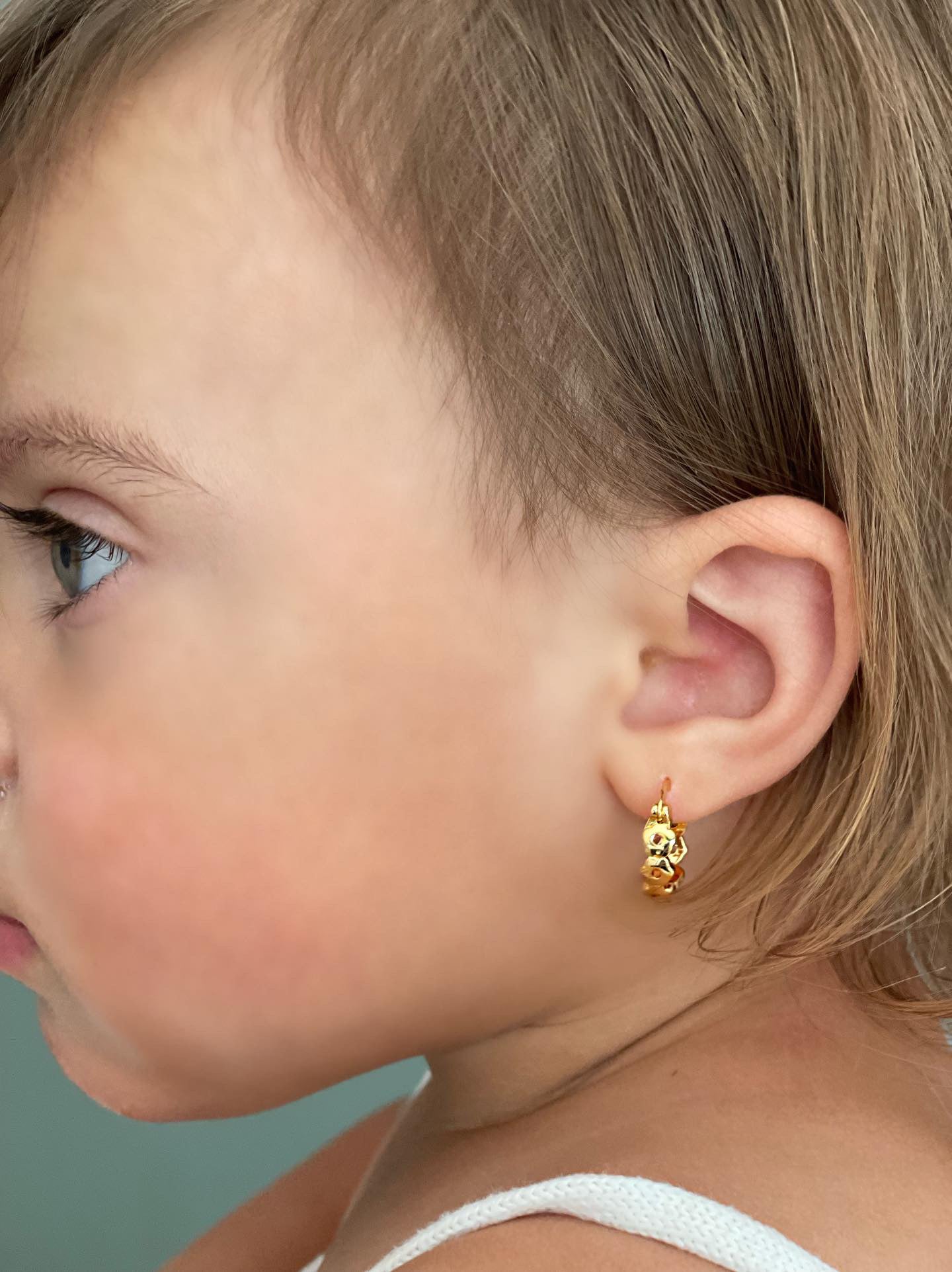 ROSE HOOPS
